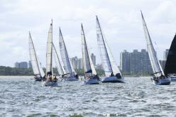 Galeria de Fotos - FOTOS - Campeonato Estadual de Vela 2024 - CLASSE OCEANO