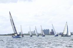 Galeria de Fotos - FOTOS - Campeonato Estadual de Vela 2024 - CLASSE OCEANO