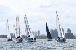 Galeria de Fotos - FOTOS - Campeonato Estadual de Vela 2024 - CLASSE OCEANO