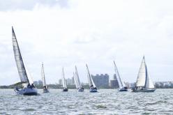 Galeria de Fotos - FOTOS - Campeonato Estadual de Vela 2024 - CLASSE OCEANO