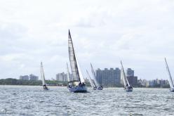 Galeria de Fotos - FOTOS - Campeonato Estadual de Vela 2024 - CLASSE OCEANO