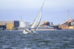Galeria de Fotos - FOTOS - Campeonato Estadual de Vela 2024 - CLASSE OCEANO