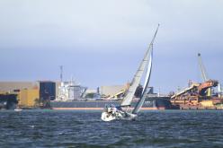 Galeria de Fotos - FOTOS - Campeonato Estadual de Vela 2024 - CLASSE OCEANO