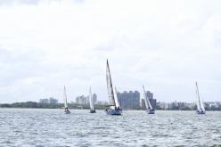 Galeria de Fotos - FOTOS - Campeonato Estadual de Vela 2024 - CLASSE OCEANO