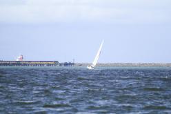 Galeria de Fotos - FOTOS - Campeonato Estadual de Vela 2024 - CLASSE OCEANO