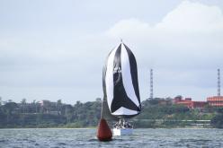 Galeria de Fotos - FOTOS - Campeonato Estadual de Vela 2024 - CLASSE OCEANO
