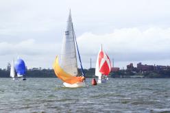 Galeria de Fotos - FOTOS - Campeonato Estadual de Vela 2024 - CLASSE OCEANO
