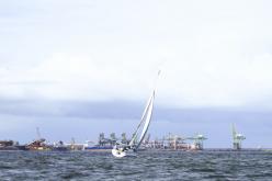Galeria de Fotos - FOTOS - Campeonato Estadual de Vela 2024 - CLASSE OCEANO