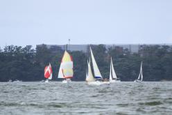 Galeria de Fotos - FOTOS - Campeonato Estadual de Vela 2024 - CLASSE OCEANO