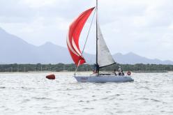 Galeria de Fotos - FOTOS - Campeonato Estadual de Vela 2024 - CLASSE OCEANO