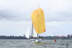 Galeria de Fotos - FOTOS - Campeonato Estadual de Vela 2024 - CLASSE OCEANO