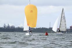 Galeria de Fotos - FOTOS - Campeonato Estadual de Vela 2024 - CLASSE OCEANO