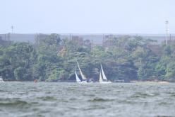 Galeria de Fotos - FOTOS - Campeonato Estadual de Vela 2024 - CLASSE OCEANO