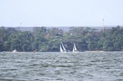 Galeria de Fotos - FOTOS - Campeonato Estadual de Vela 2024 - CLASSE OCEANO