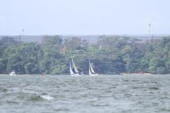Galeria de Fotos - FOTOS - Campeonato Estadual de Vela 2024 - CLASSE OCEANO