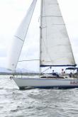 Galeria de Fotos - FOTOS - Campeonato Estadual de Vela 2024 - CLASSE OCEANO