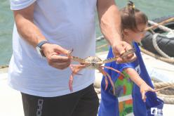 Galeria de Fotos - FOTOS - Pesca de Cais