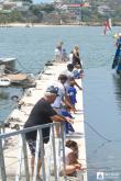 Galeria de Fotos - FOTOS - Pesca de Cais