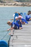 Galeria de Fotos - FOTOS - Pesca de Cais