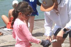 Galeria de Fotos - FOTOS - Pesca de Cais