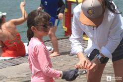 Galeria de Fotos - FOTOS - Pesca de Cais
