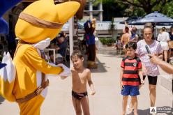 Galeria de Fotos - FOTOS - Festival do Dia das Crianças