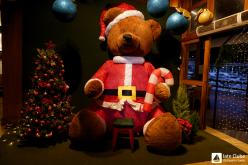 Galeria de Fotos - FOTOS - Festa de Natal 2024