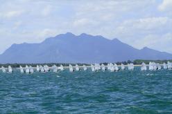 Galeria de Fotos - FOTOS - 53º Campeonato Brasileiro Aquece 