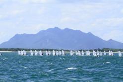 Galeria de Fotos - FOTOS - 53º Campeonato Brasileiro Aquece 