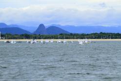 Galeria de Fotos - FOTOS - 53º Campeonato Brasileiro Estreantes