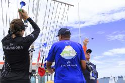 Galeria de Fotos - FOTOS - 53º Campeonato Brasileiro Estreantes