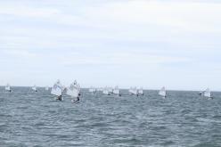 Galeria de Fotos - FOTOS - 53º Campeonato Brasileiro Estreantes