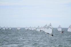 Galeria de Fotos - FOTOS - 53º Campeonato Brasileiro Estreantes