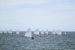 Galeria de Fotos - FOTOS - 53º Campeonato Brasileiro Estreantes