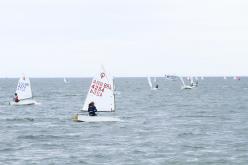 Galeria de Fotos - FOTOS - 53º Campeonato Brasileiro Estreantes