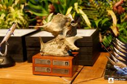 Galeria de Fotos - FOTOS - Festa de Premiação da Temporada de Pesca 2024-2025