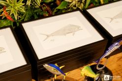 Galeria de Fotos - FOTOS - Festa de Premiação da Temporada de Pesca 2024-2025