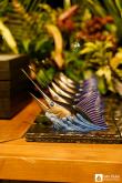 Galeria de Fotos - FOTOS - Festa de Premiação da Temporada de Pesca 2024-2025