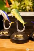 Galeria de Fotos - FOTOS - Festa de Premiação da Temporada de Pesca 2024-2025