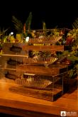 Galeria de Fotos - FOTOS - Festa de Premiação da Temporada de Pesca 2024-2025