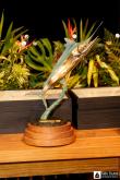 Galeria de Fotos - FOTOS - Festa de Premiação da Temporada de Pesca 2024-2025