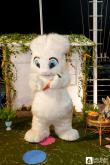 Galeria de Fotos - FOTOS - Festa da Páscoa 2025