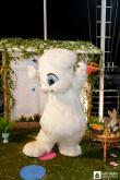 Galeria de Fotos - FOTOS - Festa da Páscoa 2025