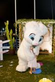 Galeria de Fotos - FOTOS - Festa da Páscoa 2025