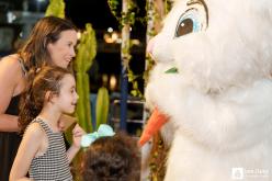 Galeria de Fotos - FOTOS - Festa da Páscoa 2025