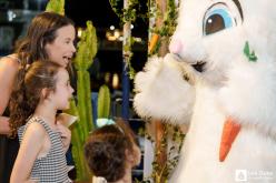 Galeria de Fotos - FOTOS - Festa da Páscoa 2025