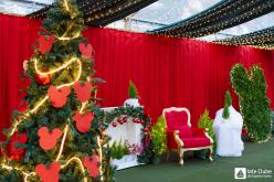 Galeria de Fotos - FOTOS - Festa de Natal