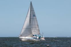 Galeria de Fotos - FOTOS - 72ª Regata Volta da Taputera - Classe OCEANO