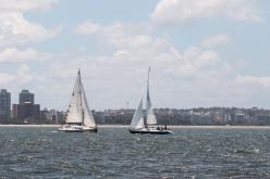 Galeria de Fotos - FOTOS - 72ª Regata Volta da Taputera - Classe OCEANO
