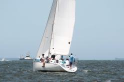 Galeria de Fotos - FOTOS - 72ª Regata Volta da Taputera - Classe OCEANO